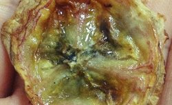 好吃无添加的香脆考香蕉片噢