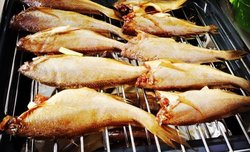 烤鱼、烤鸡肉（两种）