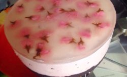 樱花冻芝士蛋糕