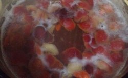 红枣山楂枸杞水-改善高血脂