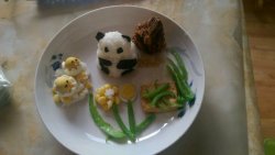 小熊猫宝宝餐
