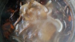 茶树菇猪肚汤