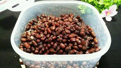 自制蜜红豆（粒粒分明饱满）