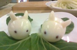 兔宝宝