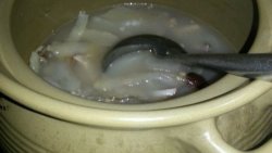 海底椰响螺肉汤（8人饮用）
