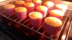 南瓜酸奶蛋糕——长帝烘焙节