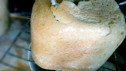 低热量的无油无糖全麦面包