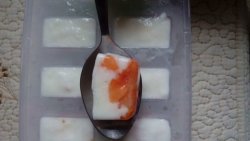 酸奶木瓜冰格超简单