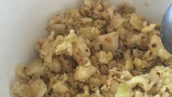 圆白菜不烂子