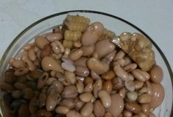 卤杂豆
