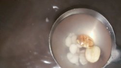 排骨芡实莲子汤，孕妇下火汤（孕妇菜谱）