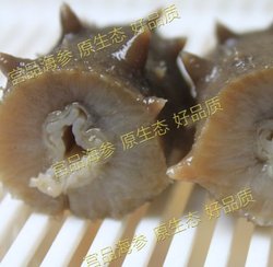 海参的简单做法