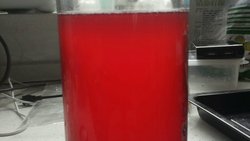 樱桃果酒。