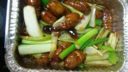 锡纸蚕蛹