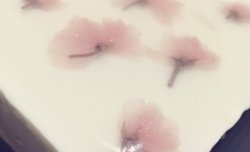 樱花酸奶芝士慕斯