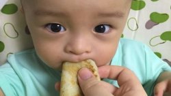 宝宝辅食 香蕉饼8+