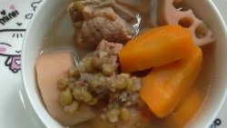 暖汤–胡萝卜莲藕绿豆排骨