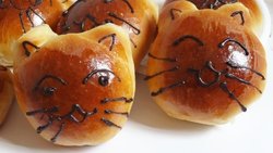 小猫面包
