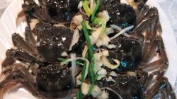 咸卤螃蟹（家常正宗）