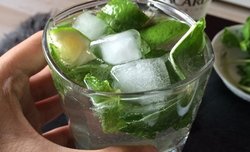 mojito