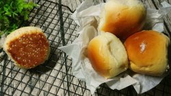 奶香脆底小面包#东菱（烤立方DL-38E）