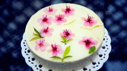 看《十里桃花》，品桃花酸奶慕斯蛋糕+
