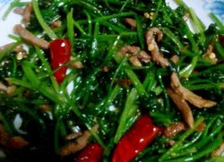 炒香菜