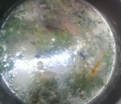 皮蛋蔬菜粥