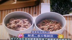 酵素饭