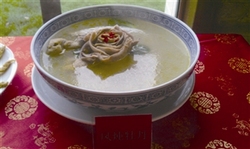 凤炖牡丹