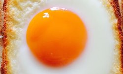 吐司烤鸡蛋