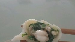 小白菜猪肉虾仁水饺