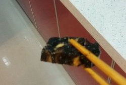 阿胶固元膏