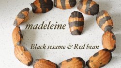 黑芝麻&红豆 小蜜蜂玛德琳蛋糕（视频菜谱）