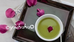 豌豆米糊【九阳破壁豆浆机Q1】