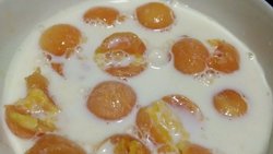 冬日超简单牛奶木瓜