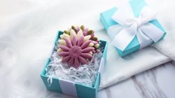 小雏菊馒头