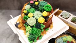 花盆蛋糕