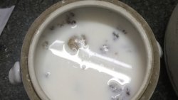 牛奶炖桃胶