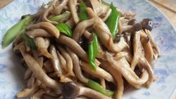 素炒蘑菇腿