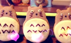 龙猫饼干