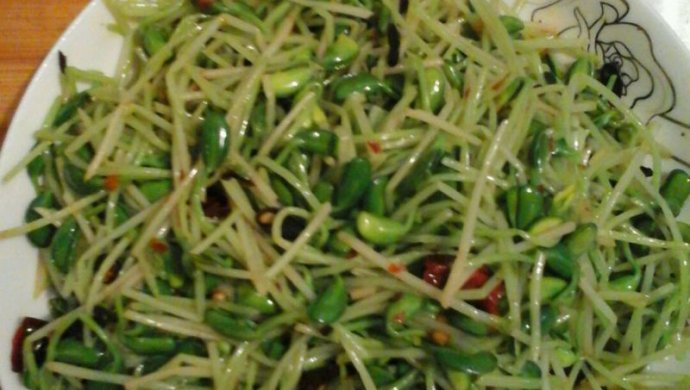 炝豆苗