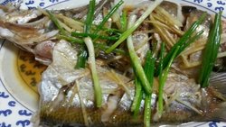 乐乐自家菜---清蒸太湖白鱼