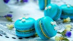 海洋之星——马卡龙