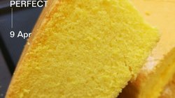 海绵蛋糕（美善品食谱）