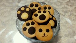 烘焙系列_猫爪饼干