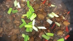 川味斑鸠