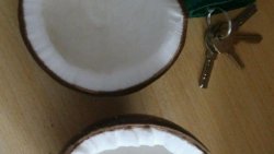椰子 椰子汁 椰奶 椰蓉 纯鲜提炼！