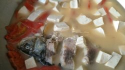 草鱼西红柿豆腐汤(孕妇菜)