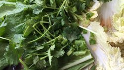 砂锅杂菌锅
